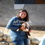 Rola zaki